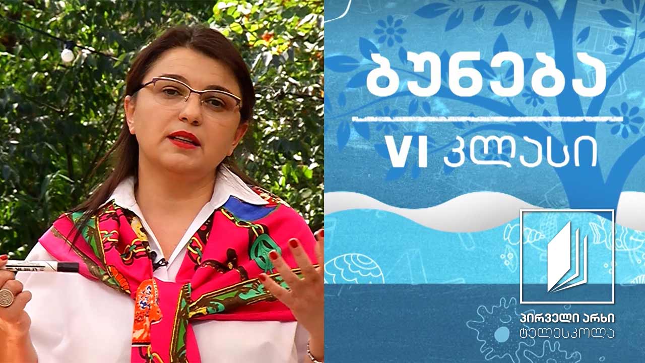 ბუნება, VI კლასი - როგორ გამოვყოთ ნივთიერება ნარევიდან? ნარევების დაყოფა #ტელესკოლა