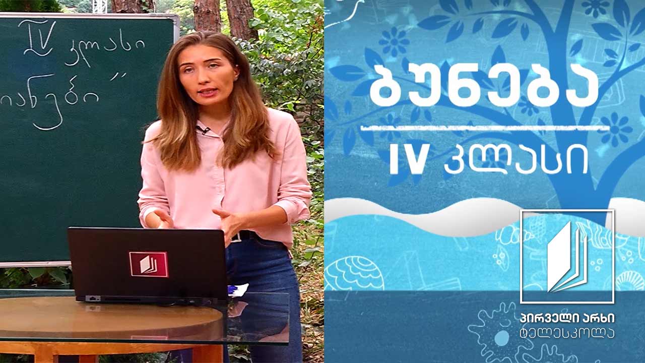 ბუნება, IV კლასი - ხერხემლიანების ჩონჩხის მნიშვნელობა; ხერხემლიანი ცხოველები #ტელესკოლა