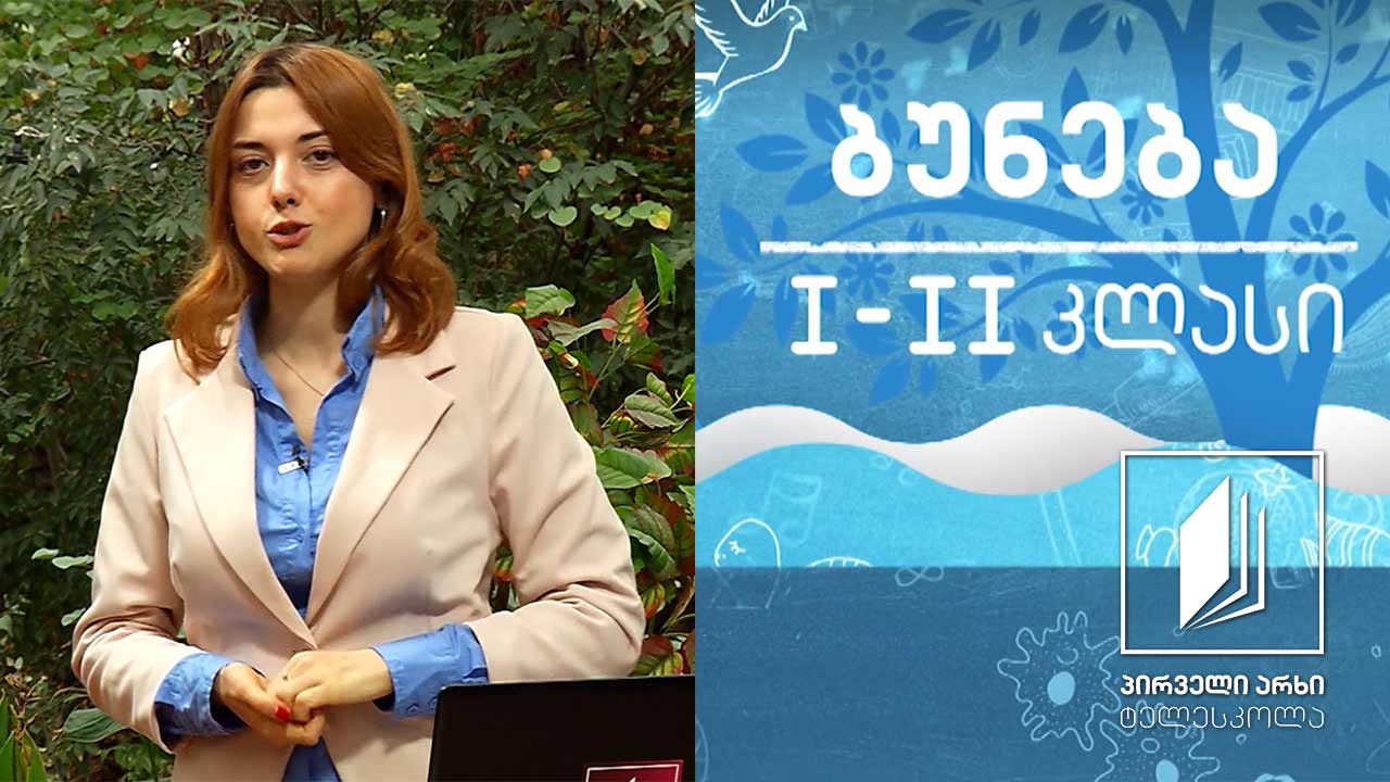 ბუნება, I-II კლასი - ბუნებრივი და ხელოვნური გარემო #ტელესკოლა