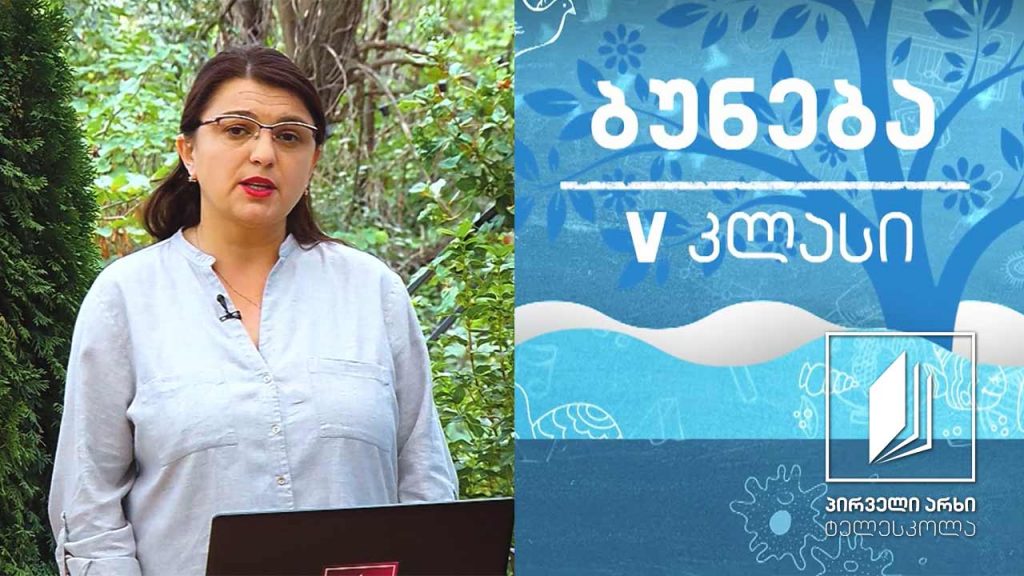ბუნება, V კლასი – ვარსკვლავები და თანავარსკვლავედი #ტელესკოლა