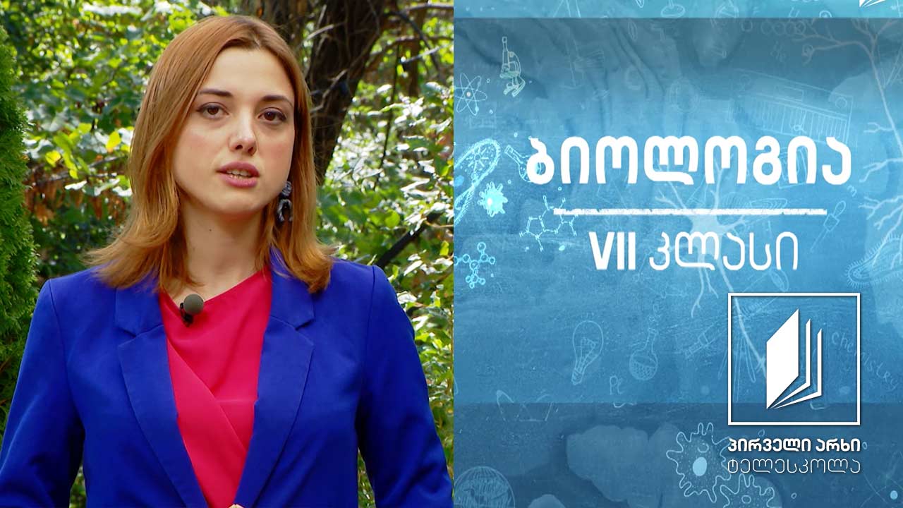 ბიოლოგია VII კლასი - მიკროორგანიზმების როლი  ბუნებაში. მავნე მიკროორგანიზმების აღკვეთა #ტელესკოლა