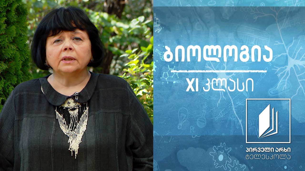ბიოლოგია XI კლასი - გენეტიკური ცნებები, მენდელის კვლევის მეთოდები, მენდელის პირველი და მეორე კანონი #ტელესკოლა
