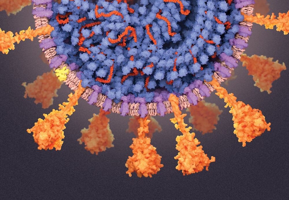 COVID-19-ის გამომწვევ კორონავირუს SARS-CoV-2-ში აქამდე უცნობი, „დამალული“ გენი აღმოაჩინეს — #1tvმეცნიერება