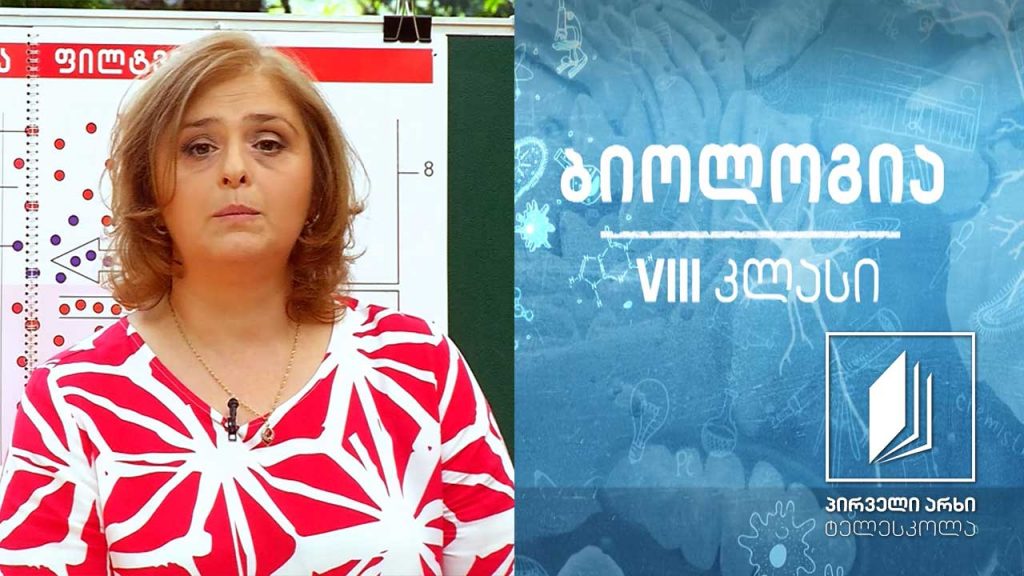 ბიოლოგია VIII კლასი – სისხლის შემადგენელი კომპონენტების აგებულება და ფუნქციები #ტელესკოლა