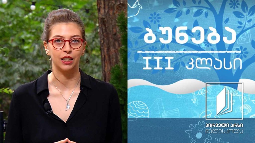 ბუნება, III კლასი – ფოთოლი #ტელესკოლა