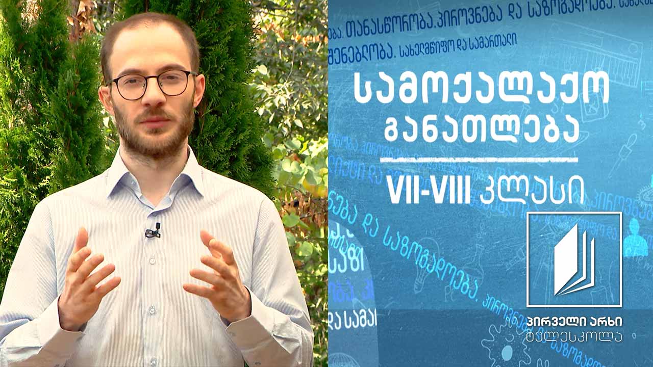 სამოქალაქო განათლება, VII-VIII  კლასები - დემოკრატიის პრინციპები #ტელესკოლა