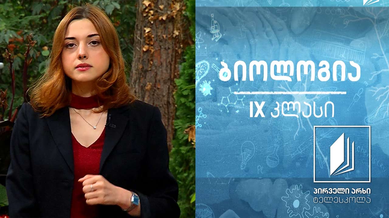 ბიოლოგია IX კლასი - ალელური გენები. ვარჯიში გენეტიკურ ამოცანებსა და სქემებზე #ტელესკოლა