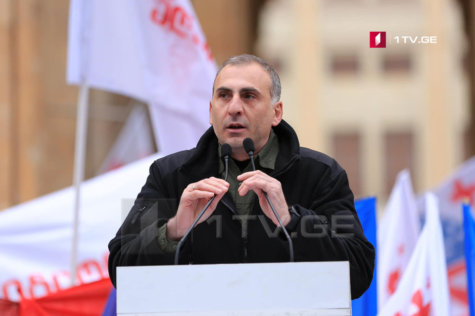 აზრთა სხვადასხვაობა ოპოზიციაში