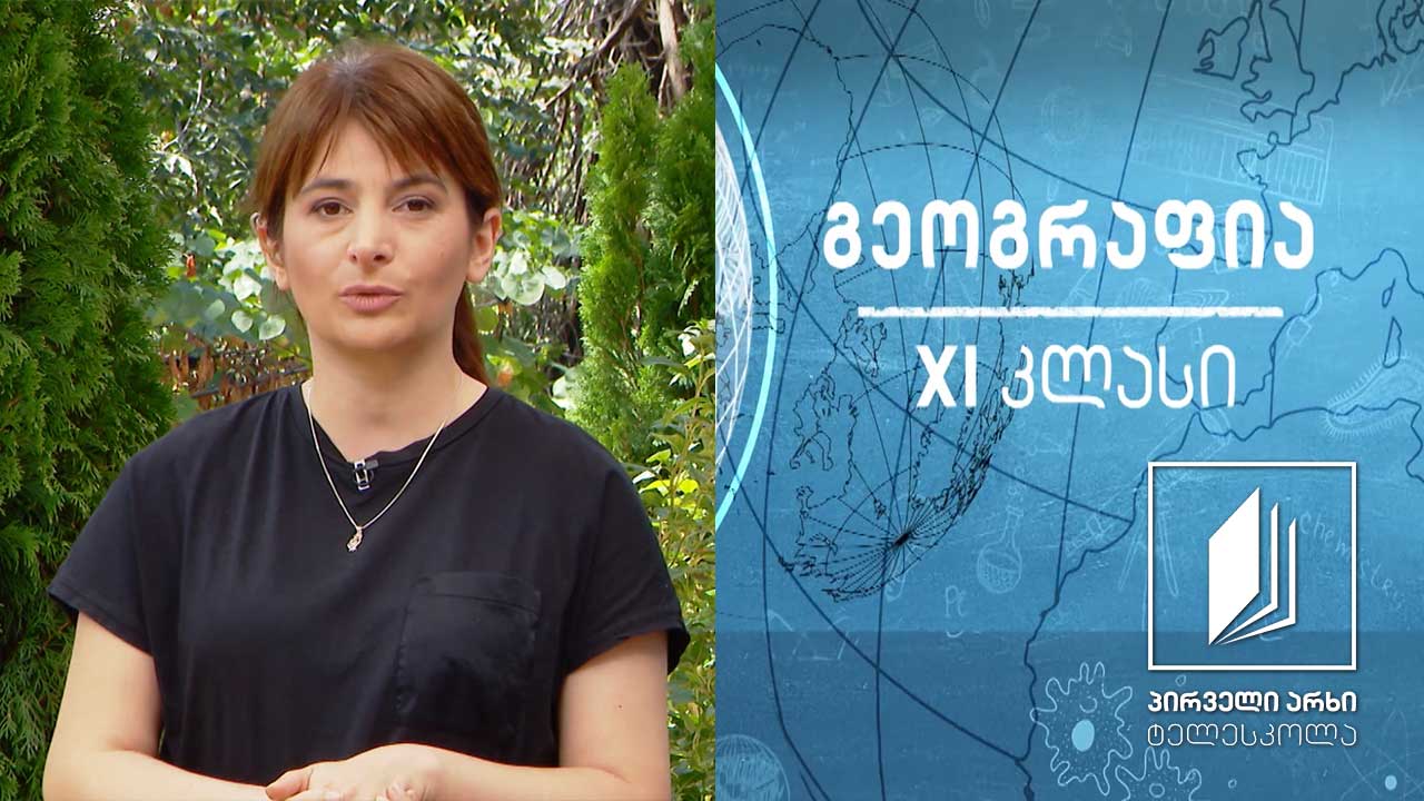 გეოგრაფია XI კლასი - ურბანიზაცია #ტელესკოლა
