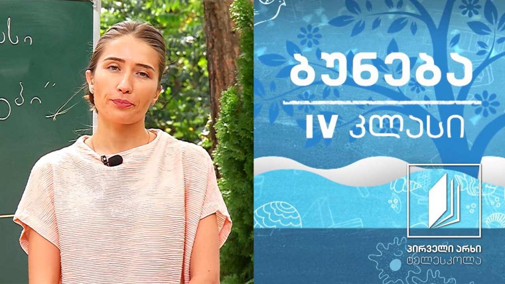 ბუნება, IV კლასი – ჰორიზონტის მხარეები #ტელესკოლა