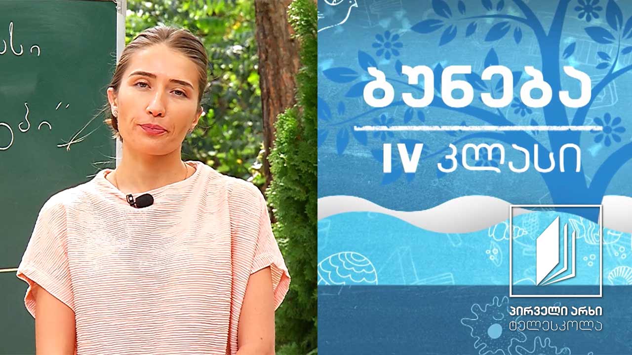 ბუნება, IV კლასი - ჰორიზონტის მხარეები #ტელესკოლა