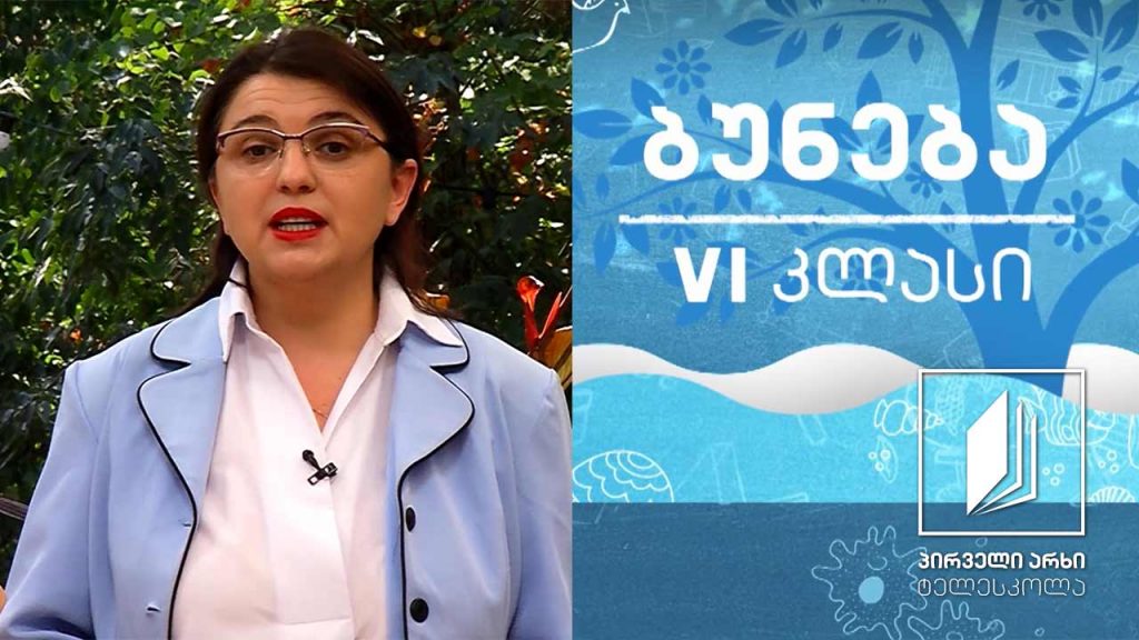 ბუნება, VI კლასი – ადამიანის სხეულის ნაწილები #ტელესკოლა