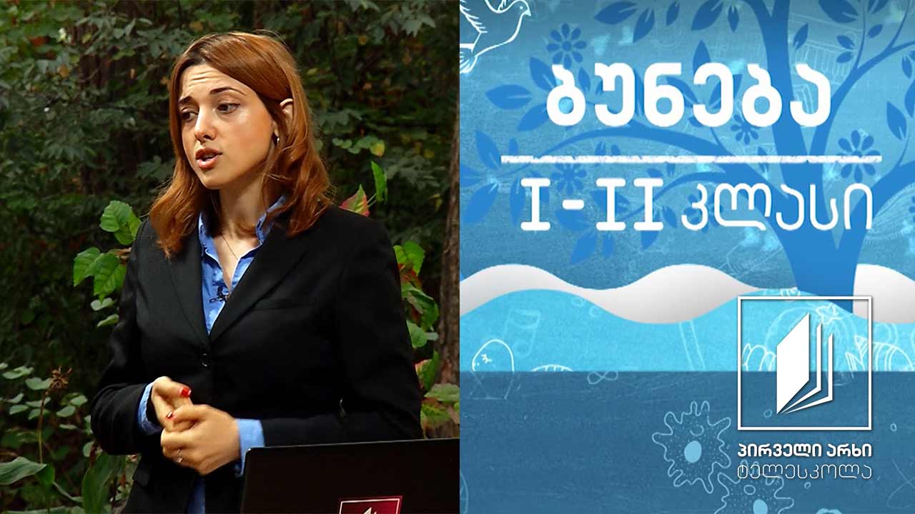 ბუნება, I-II კლასი - საარსებო გარემო - სიცოცხლე ხმელეთზე #ტელესკოლა