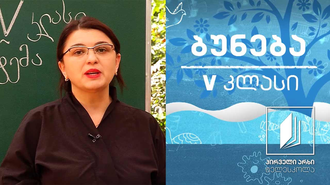 ბუნება, V კლასი - მზე; მზის სისტემა #ტელესკოლა