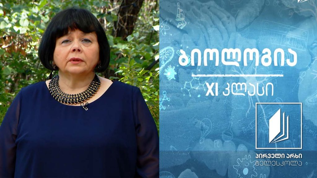 ბიოლოგია XI კლასი – ალელურ გენთა ურთიერთქმედების ფორმები #ტელესკოლა