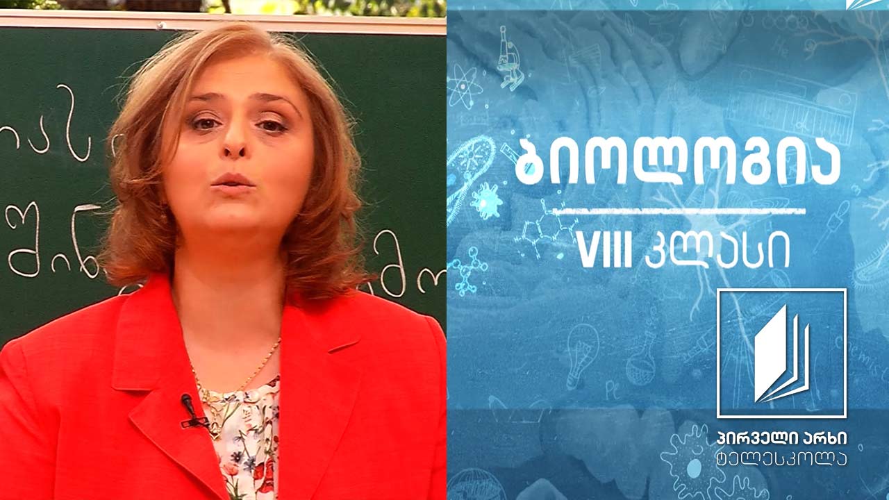 ბიოლოგია VIII კლასი - ორგანიზმის შინაგანი გარემოს დამცველობითი ფუნქცია - იმუნიტეტი #ტელესკოლა