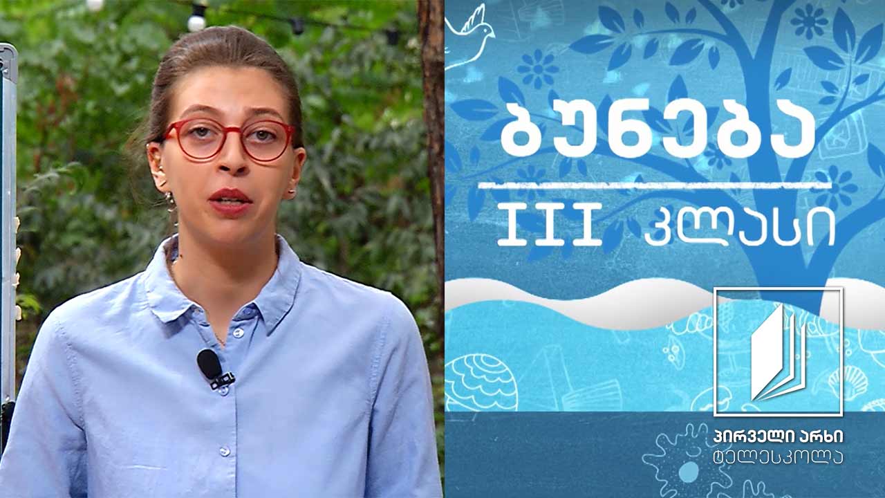 ბუნება, III კლასი - მცენარის კვება; მცენარის სუნთქვა #ტელესკოლა