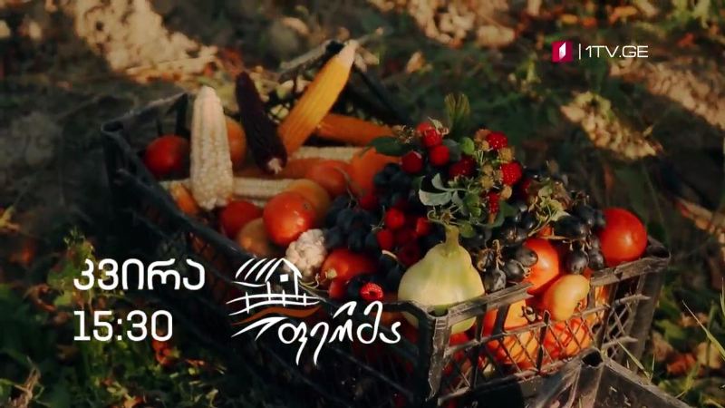 „ფერმა“ – 22 ნოემბერს, 15:30