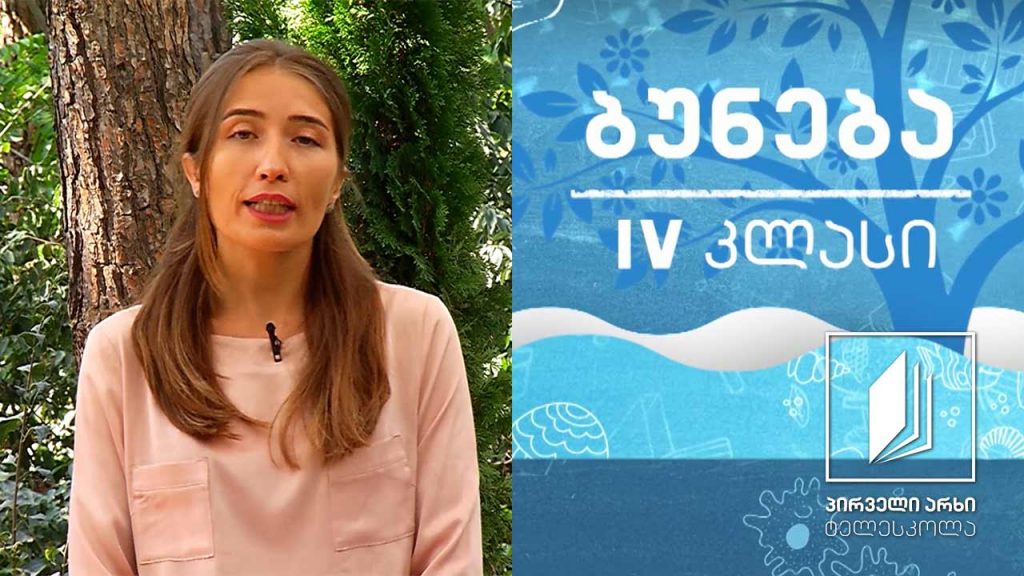 ბუნება, IV კლასი – რა არის ორიენტირება; როგორ გავიგნოთ გზა #ტელესკოლა