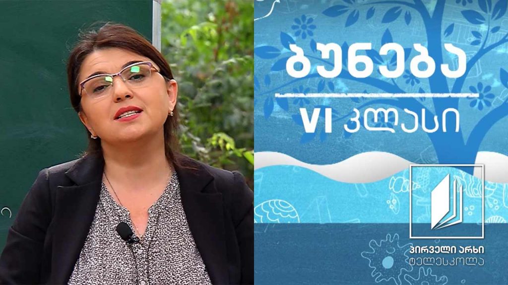ბუნება, VI კლასი – ჩონჩხი და კუნთები #ტელესკოლა