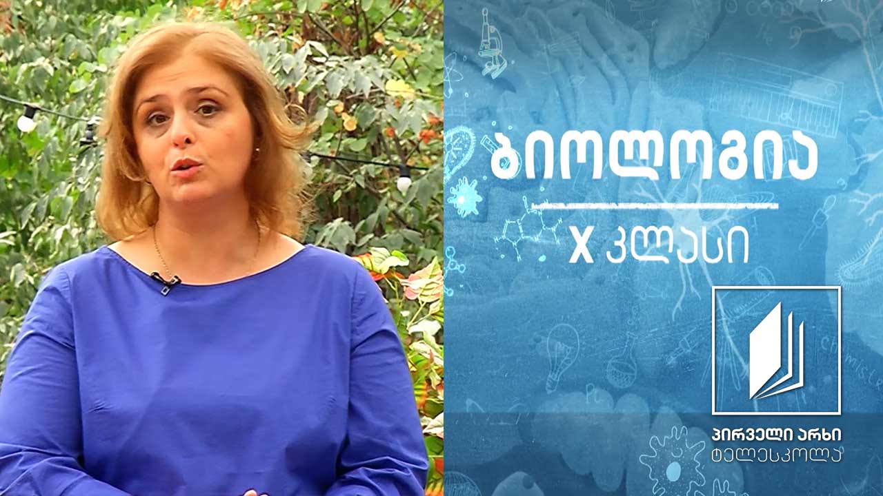 ბიოლოგია X - მცენარის სატრანსპორტო სისტემა. სუნთქვა და ფოტოსინთეზი #ტელესკოლა