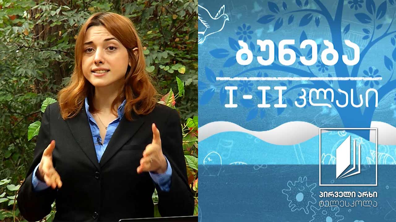 ბუნება, I-II კლასი - საარსებო გარემო - სიცოცხლე წყალში #ტელესკოლა