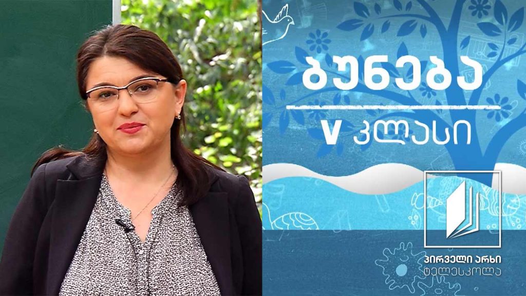 ბუნება, V კლასი – ჩვენი პლანეტა – დედამიწა; მთვარე #ტელესკოლა