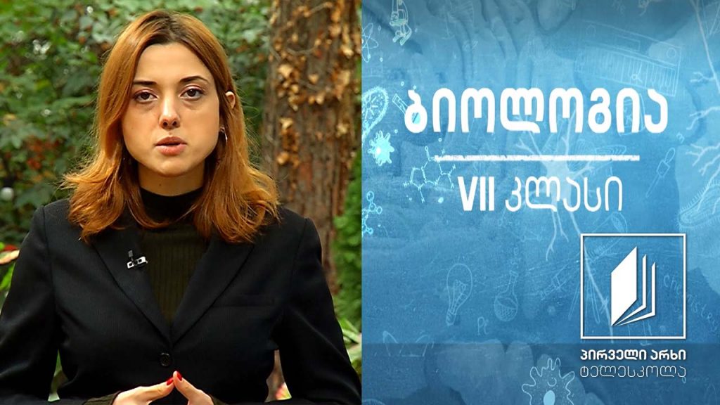 ბიოლოგია – VII კლასი – სოკოები, ქუდიანი სოკოები და სოკოების მრავალფეროვნება #ტელესკოლა