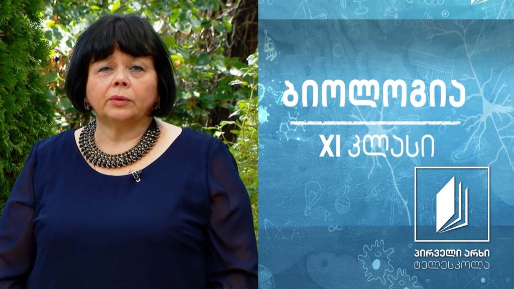 ბიოლოგია XI კლასი – მენდელის მესამე კანონი ანუ გენთა დამოუკიდებლად დამემკვიდრების კანონი #ტელესკოლა
