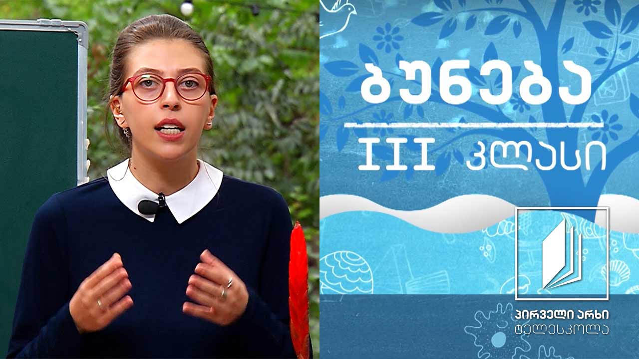ბუნება, III კლასი - ყვავილის აგებულება და მნიშვნელობა #ტელესკოლა