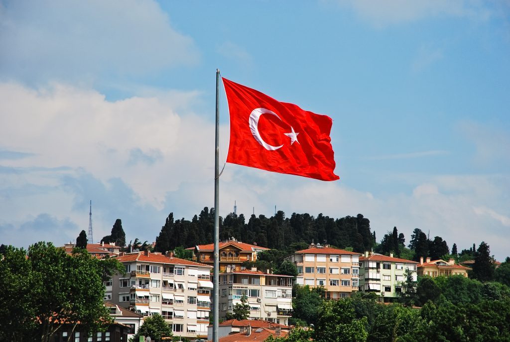 თურქეთში მოგზაურობისთვის ელექტრონული ანკეტის შევსება სავალდებულო იქნება