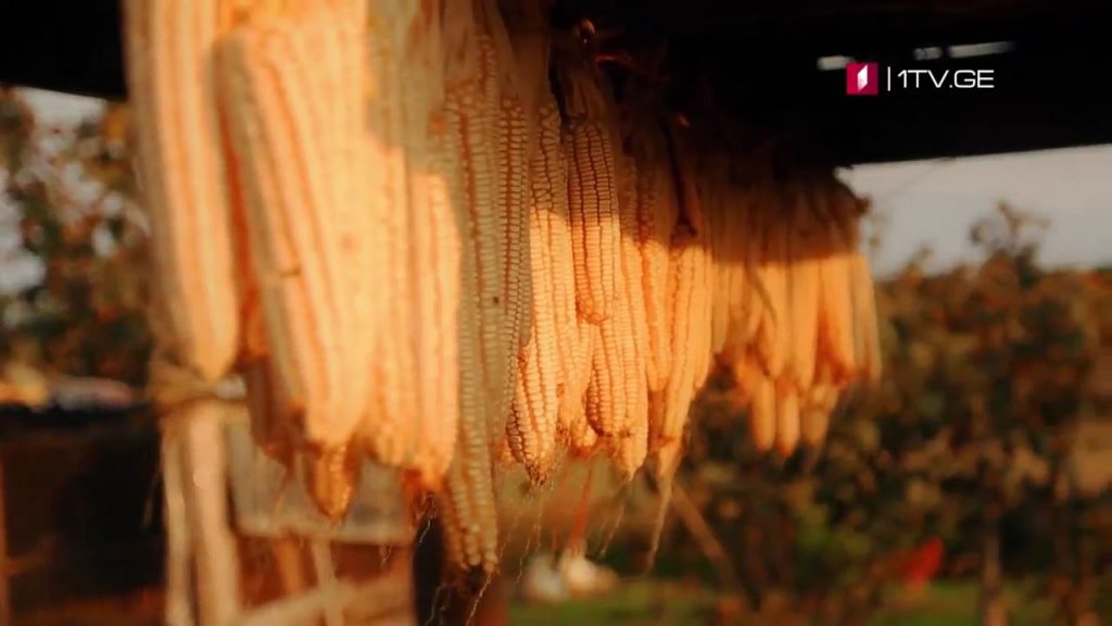 „ფერმა“ – 29 ნოემბერს, 15:30