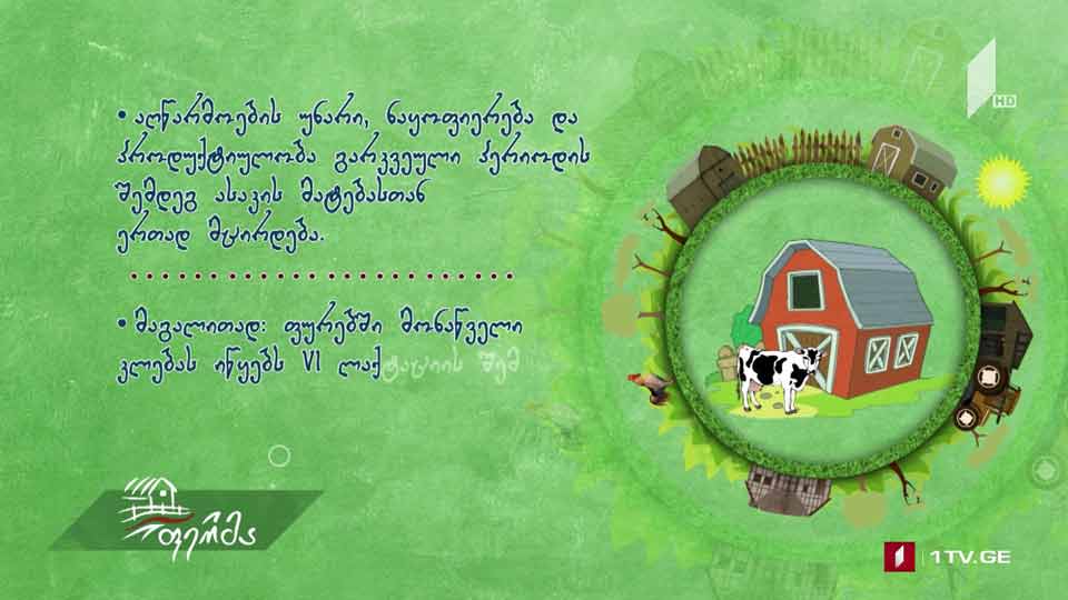ცხოველის სამეურნეო გამოყენების ხანგძლივობა