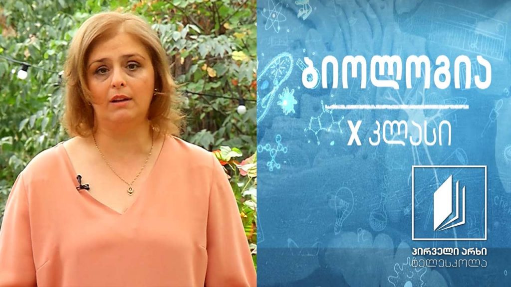 ბიოლოგია X კლასი – საჭმლის მომნელებელი სისტემა – ერთუჯრედიანი და მრავალუჯრედიანი ორგანიზმების კვება და მონელება. ჰეტეროტროფული კვების ტიპები #ტელესკოლა