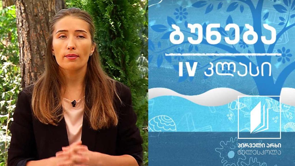 ბუნება, IV კლასი – კომპასი; გაგნება ადგილობრივი ნიშნებით #ტელესკოლა