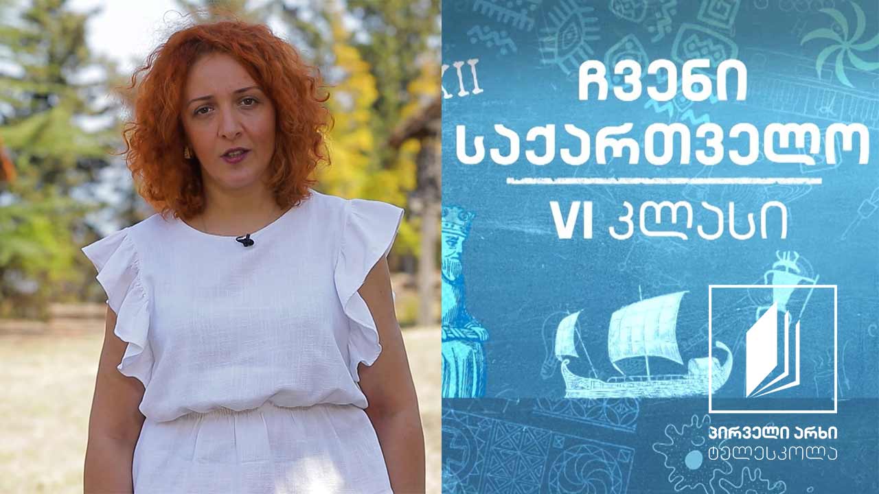 ჩვენი საქართველო, VI კლასი - გურიის მდებარეობა, ბუნებრივი პირობები და მეურნეობის დარგები #ტელესკოლა