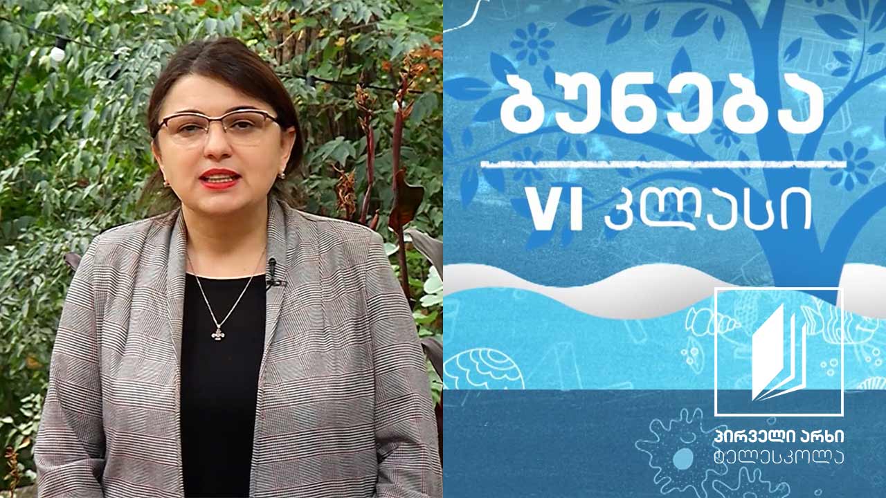 ბუნება, VI კლასი - რა ამოძრავებს სისხლს #ტელესკოლა