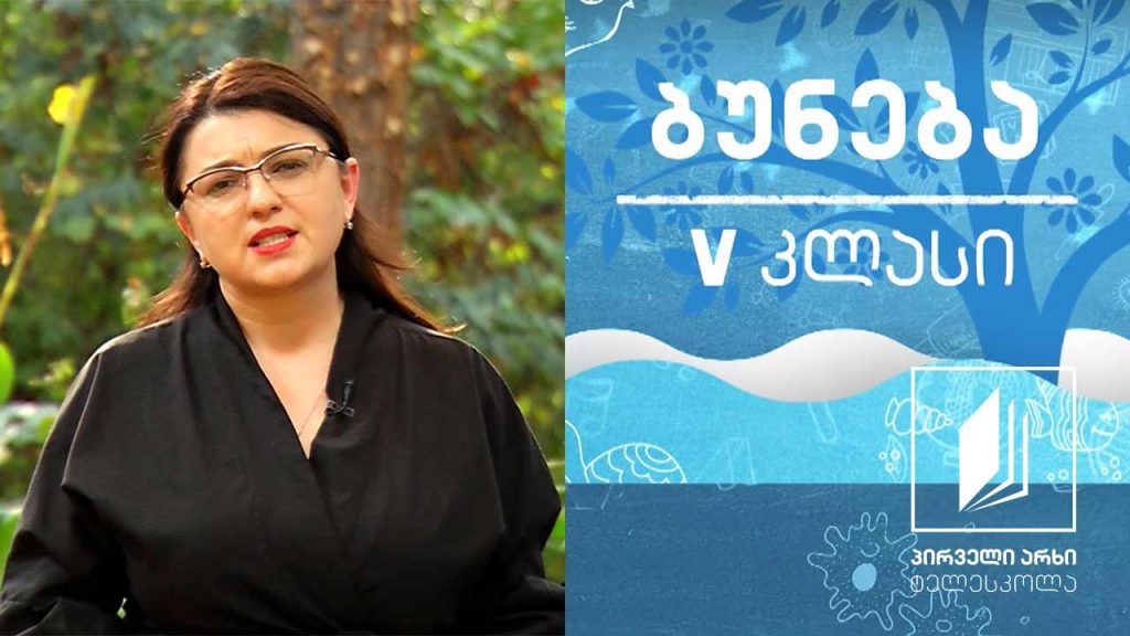 ბუნება, V კლასი – კოსმოსის შესწავლა; გახდი ასტრონომი #ტელესკოლა