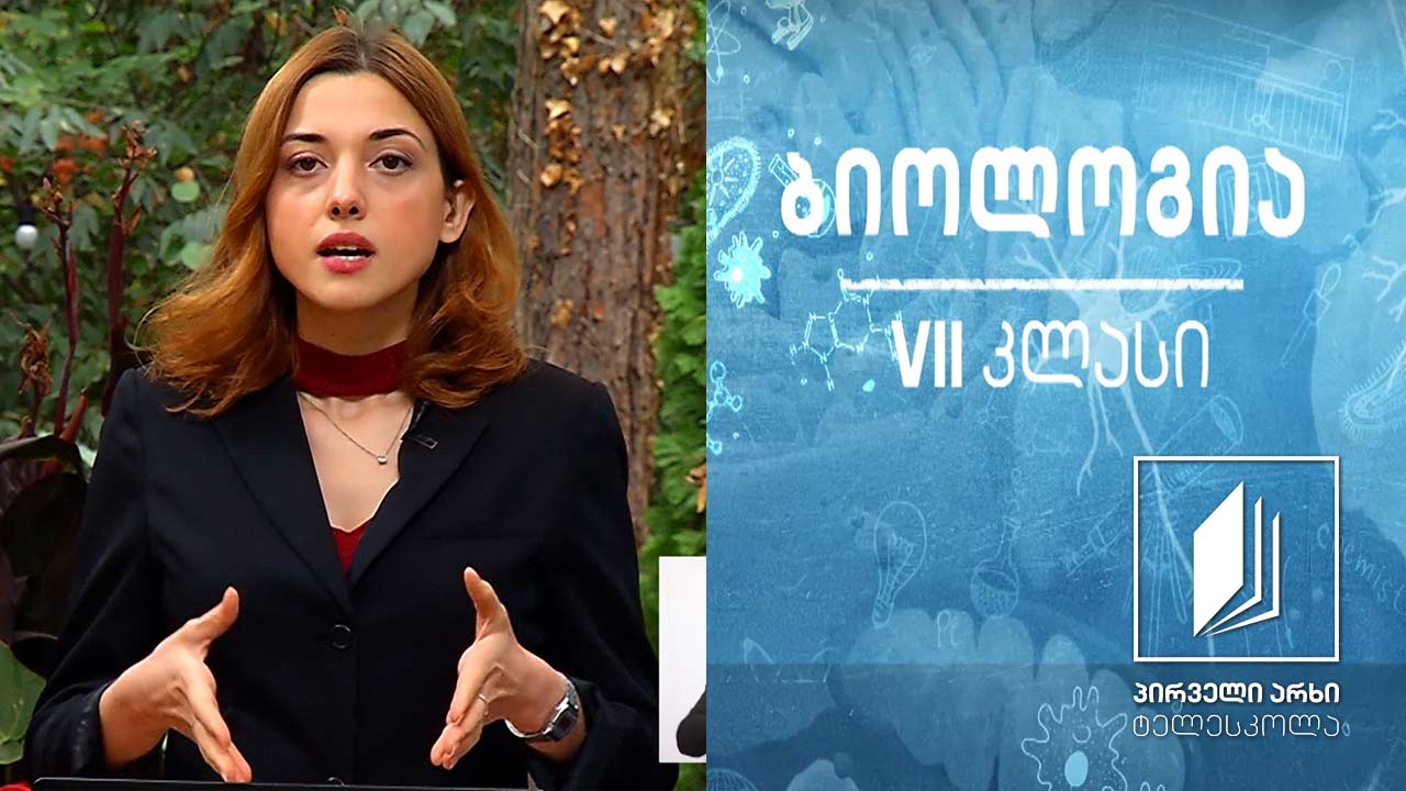 ბიოლოგია VII კლასი - ცოცხალი ორგანიზმების კლასიფიკაცია; მცენარეთა სამეფო - შიშველთესლოვნები, ყვავილოვანი მცენარეები. მცენარეთა კვება #ტელესკოლა