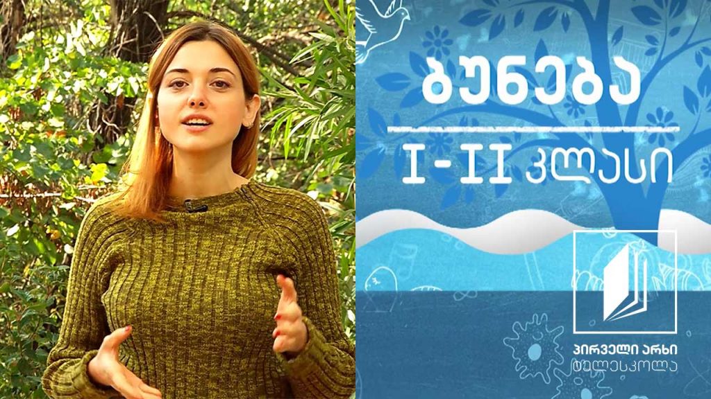 ბუნება, I-II კლასი – ფრინველთა საარსებო გარემო #ტელესკოლა