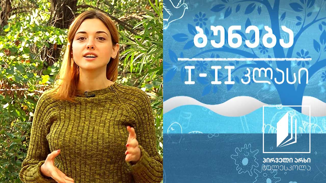 ბუნება, I-II კლასი - ფრინველთა საარსებო გარემო #ტელესკოლა
