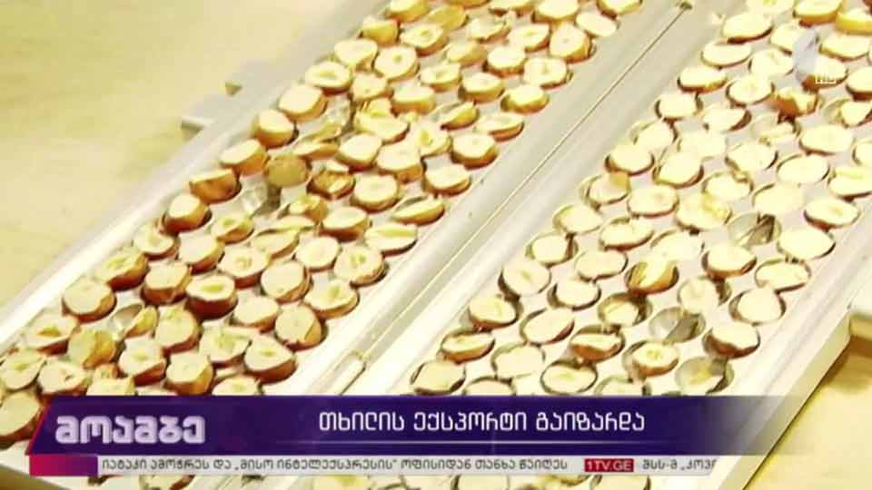 თხილის ექსპორტი გაიზარდა