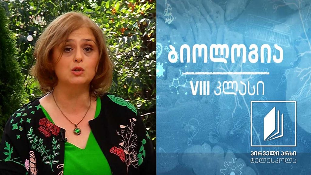 ბიოლოგია VIII კლასი – სისხლძარღვების სტრუქტურების შესაბამისობა შესასრულებელ ფუნქციასთან. გულ-სისხლძარღვთა გავრცელებული დაავადებები #ტელესკოლა