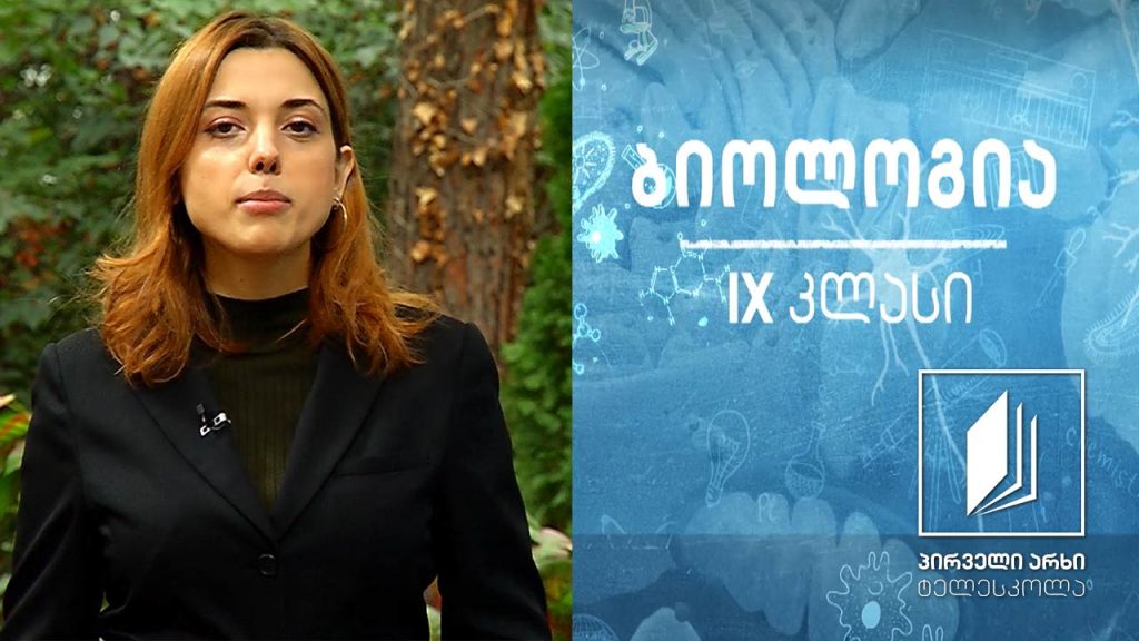 ბიოლოგია IX კლასი – მემკვიდრული ნიშნების გაცემა ადამიანებში. ადამიანის გენეტიკური/მემკვიდრული დაავადებები, გენეტიკური კვლევის ზოგიერთი მეთოდი ადამიანში #ტელესკოლა