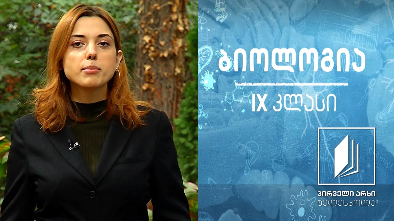 ბიოლოგია IX კლასი - მემკვიდრული ნიშნების გაცემა ადამიანებში. ადამიანის გენეტიკური/მემკვიდრული დაავადებები, გენეტიკური კვლევის ზოგიერთი მეთოდი ადამიანში #ტელესკოლა