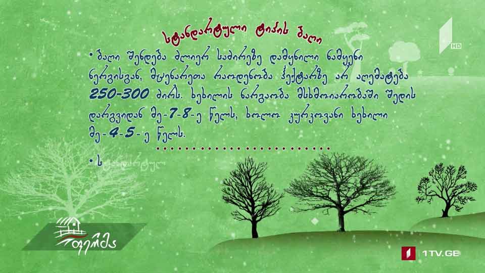 #რჩევები ბაღის ტიპები მეთხილეობაში - მათი მახასიათებლები