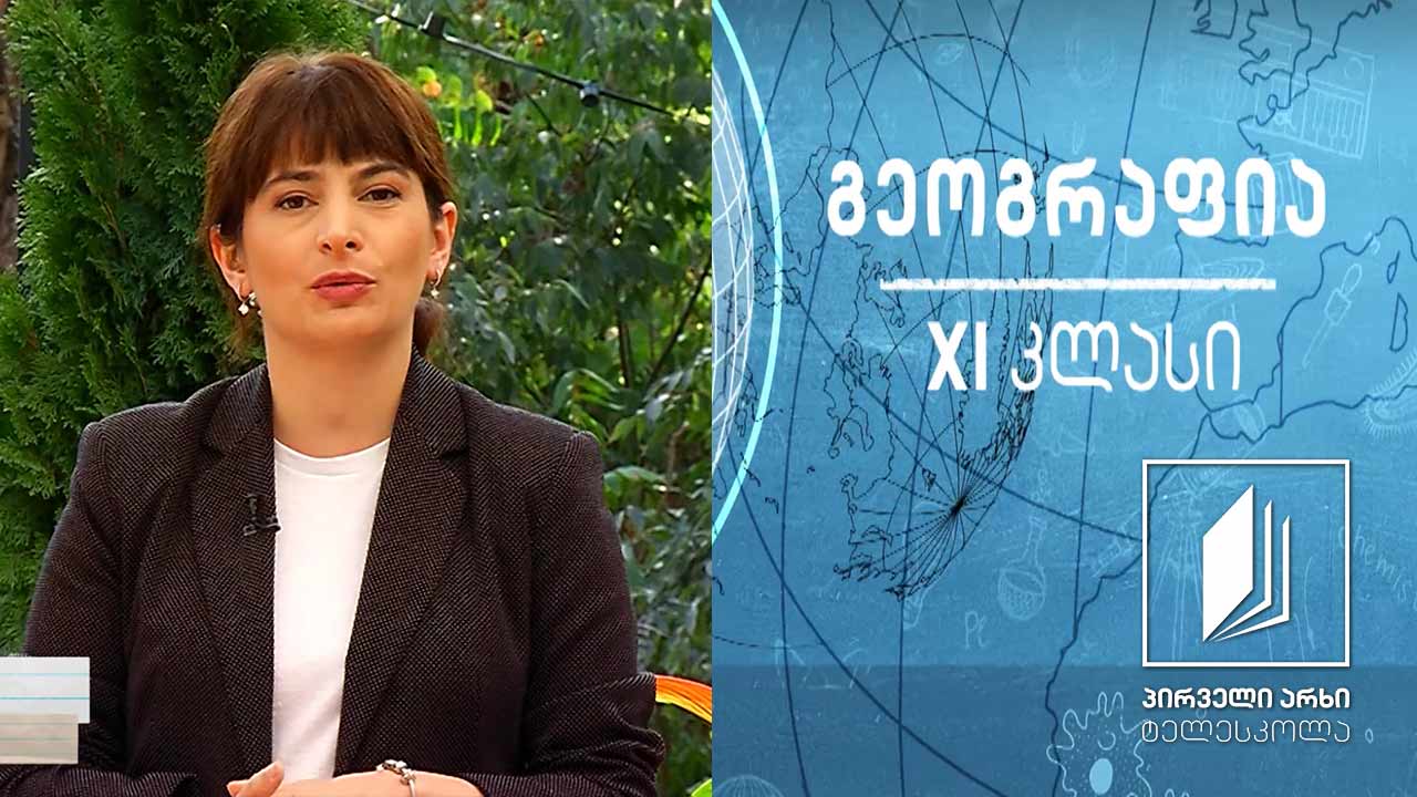 გეოგრაფია XI კლასი - ჯანმრთელობის პრობლემა #ტელესკოლა
