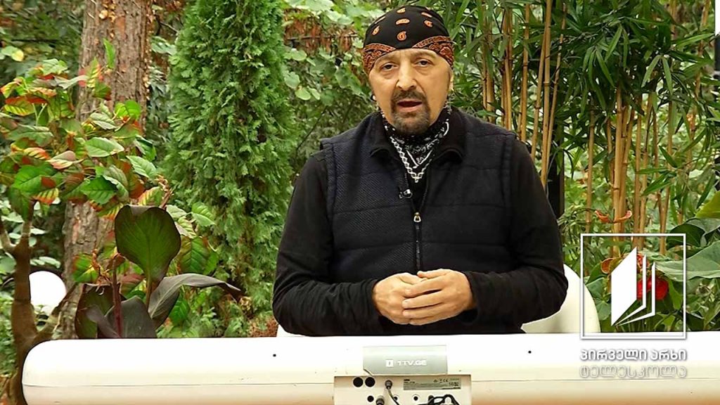 მუსიკის გაკვეთილები დათო ევგენიძესთან ერთად – 2 ნოემბერი, 2020 #ტელესკოლა