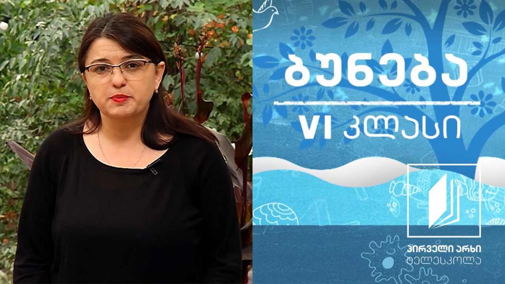 ბუნება, VI კლასი – სუნთქვა, სუნთქვის სიხშირე #ტელესკოლა