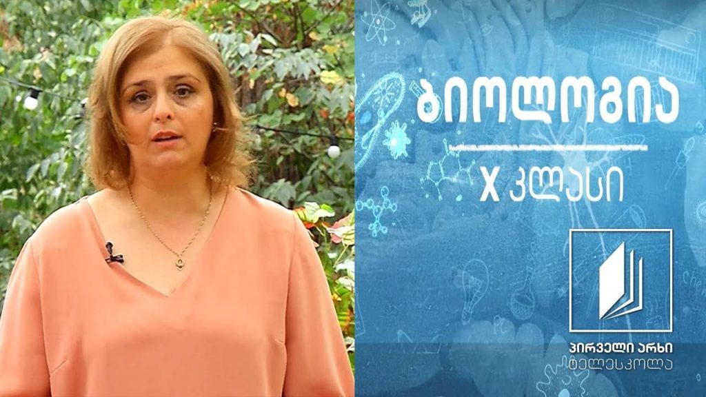 ბიოლოგია X კლასი – ძუძუმწოვრების საჭმლის მომნელებელი სისტემა. მონელება პირის ღრუსა და კუჭში #ტელესკოლა
